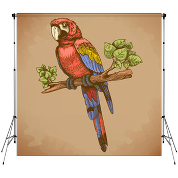 Vector Engraving Big Blue Parrot On A Fleece Backdrop