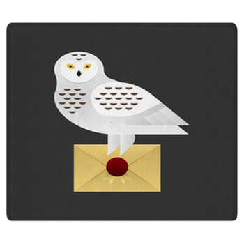 Vector Illustration Of Owl Holding A Letter Bath Mat