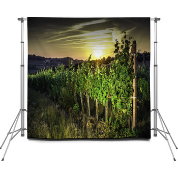 Vienyards At Sunset Custom Size Backdrop
