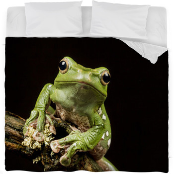 Vietnamese Blue (Gliding Or Flying) Fleece Bed Blanket