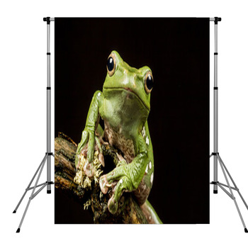 Vietnamese Blue (Gliding Or Pole Pocket Backdrop