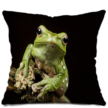 Frog Throw Pillows, Shams & Pillow Cases
