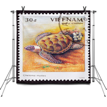 Vietnamese Postage Stamp Egg Laying Fleece Backdrop