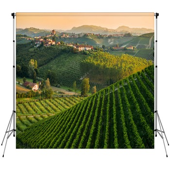 Vineyard Backdrops