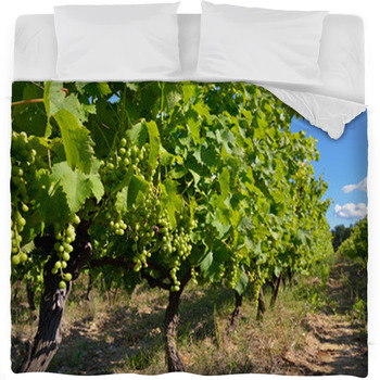 Vineyard Fleece Bed Blanket