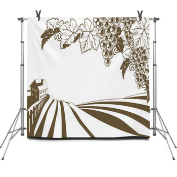 Vineyard Grapevine Farm Illustration Fleece Backdrop