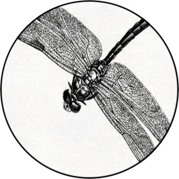 Vintage Graphic Insect Dragonfly Round Rug