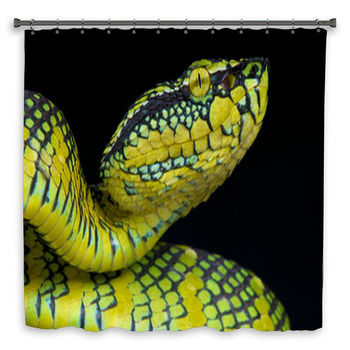 Wagler's Pit Viper / Tropidolaemus Wagleri Shower Curtain
