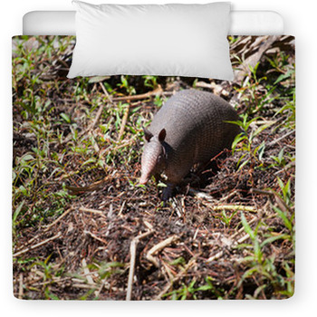 Walking Armadillo Toddler Comforter