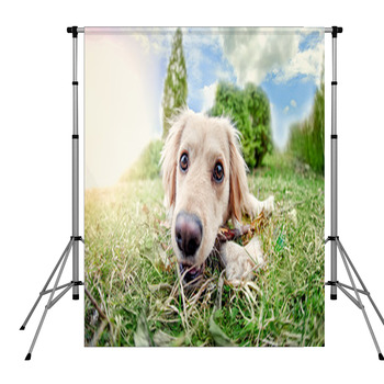 Wanna Play? Pole Pocket Backdrop