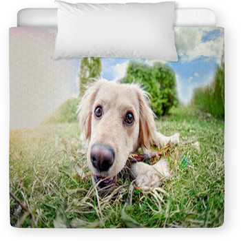 Wanna Play? Toddler Comforter