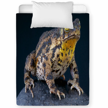 Warty Toad / Bufo Granulosa Toddler Comforter