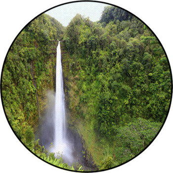 Waterfall  Akaka Falls Hawaii Round Rug