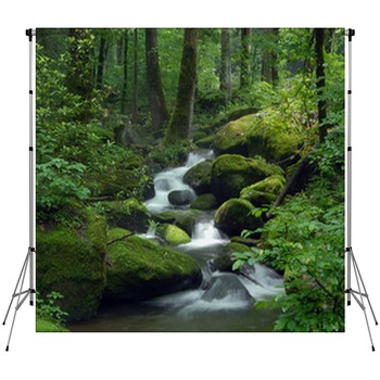 Waterfall Backdrops