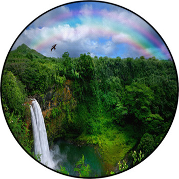 Waterfall In Kauai With Rainbow And Bird Round Rug