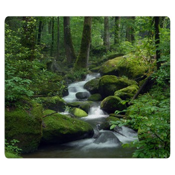 Waterfall Rugs