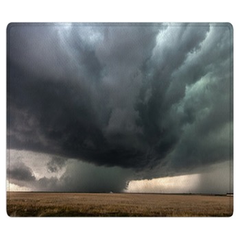 Weather Rugs