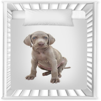 Weimaraner Puppy 01 Baby Crib Comforter