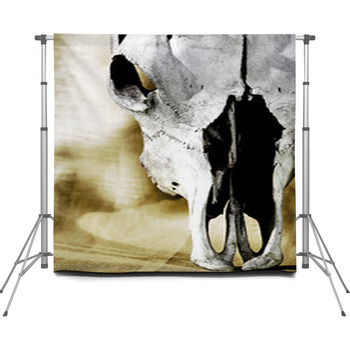 Western Cattle Skull Close-up Custom Size Backdrop
