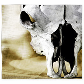 Western Cattle Skull Close-up Custom Size Floor Mat