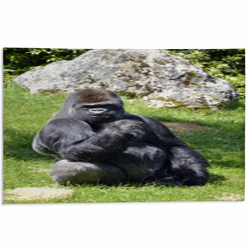 https://www.visionbedding.com/images/theme/western-lowland-gorilla-sitting-grass-area-rug-57015515.jpg