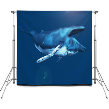 Whale 2 Custom Size Backdrop