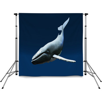 Whale 3 Pole Pocket Backdrop