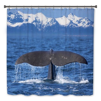 Whale Bath Decor
