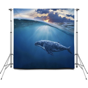 Whale In Half Air Custom Size Backdrop