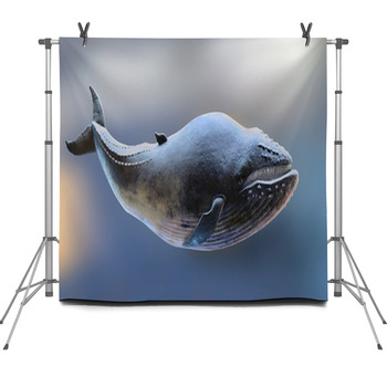 Whale Model Fleece Backdrop