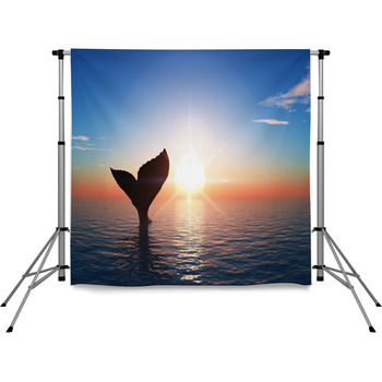 Whale Pole Pocket Backdrop