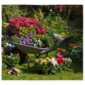 Wheelbarrow And Trays With New Custom Size Floor Mat
