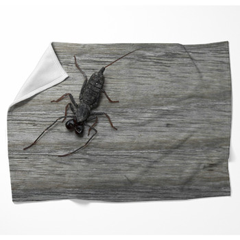 Whip Scorpion On Wooden Floor Woven Throw Blanket