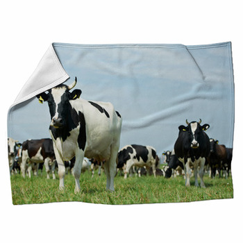 White Black Milch Cow On Green Grass Fleece Blanket