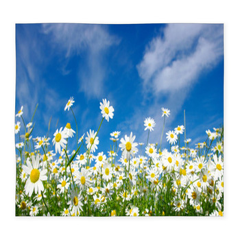 White Daisies Custom Size Floor Mat