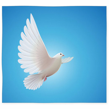 White Dove Custom Size Floor Mat