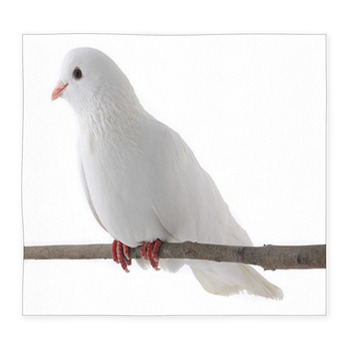 White Dove Custom Size Floor Mat