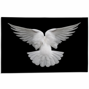 White Dove In Flight 2 Area Rug
