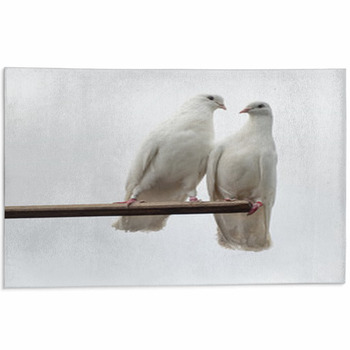 White Doves Area Rug