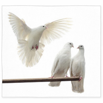 White Doves Custom Size Floor Mat
