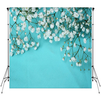 White Flowers On Blue Background Custom Size Backdrop