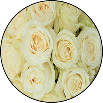 White Roses In A Wedding Arrangement Round Rug