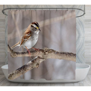White throated Sparrow Zonotrichia Shower Curtain
