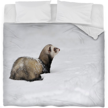 ferret bedding sets