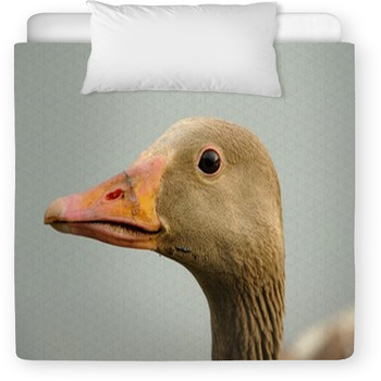 Wild Goose (anser Anser) Toddler Comforter