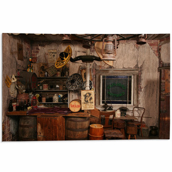 Wild West Interior Area Rug