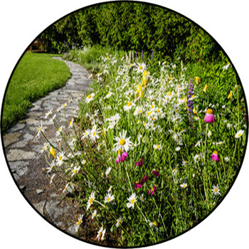 Wildflower Garden And Path To Gazebo Round Rug