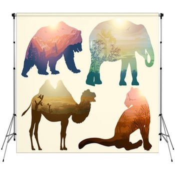 Wildlife Backdrops
