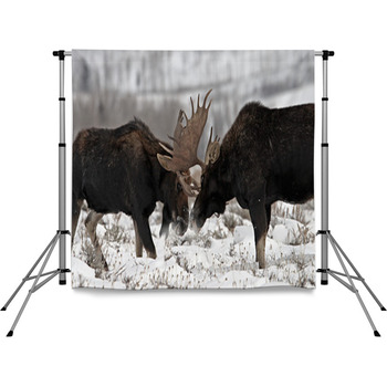 Winner Gets The Girl Pole Pocket Backdrop