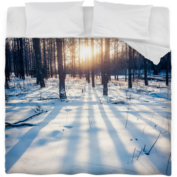 Winter Forest In China Fleece Bed Blanket